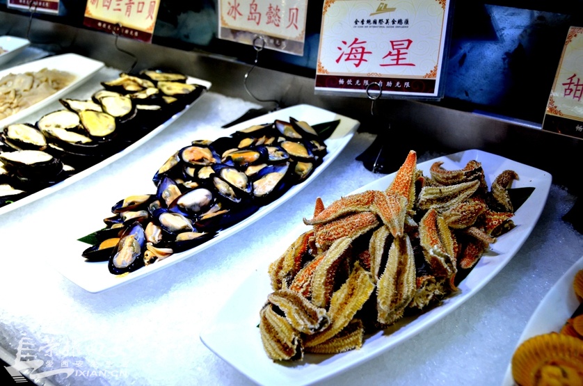 JPG_4746.JPG