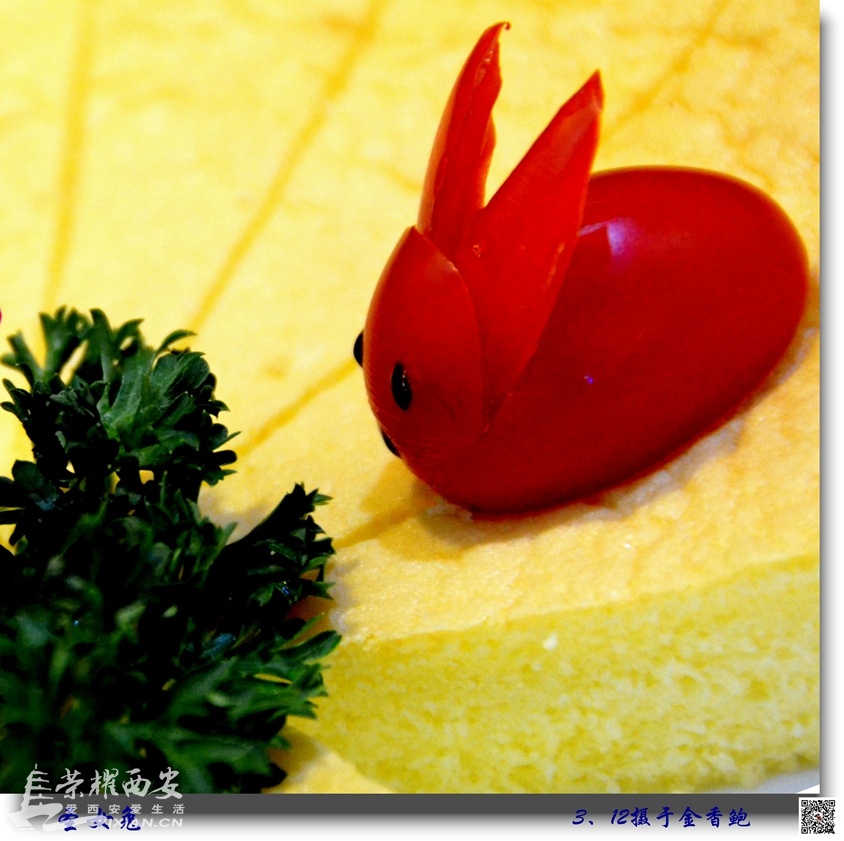 JPG_4753.JPG