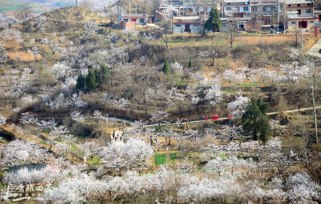 DSC_2675_鍓?湰.JPG
