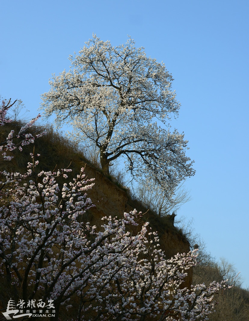 DSC_2679.JPG