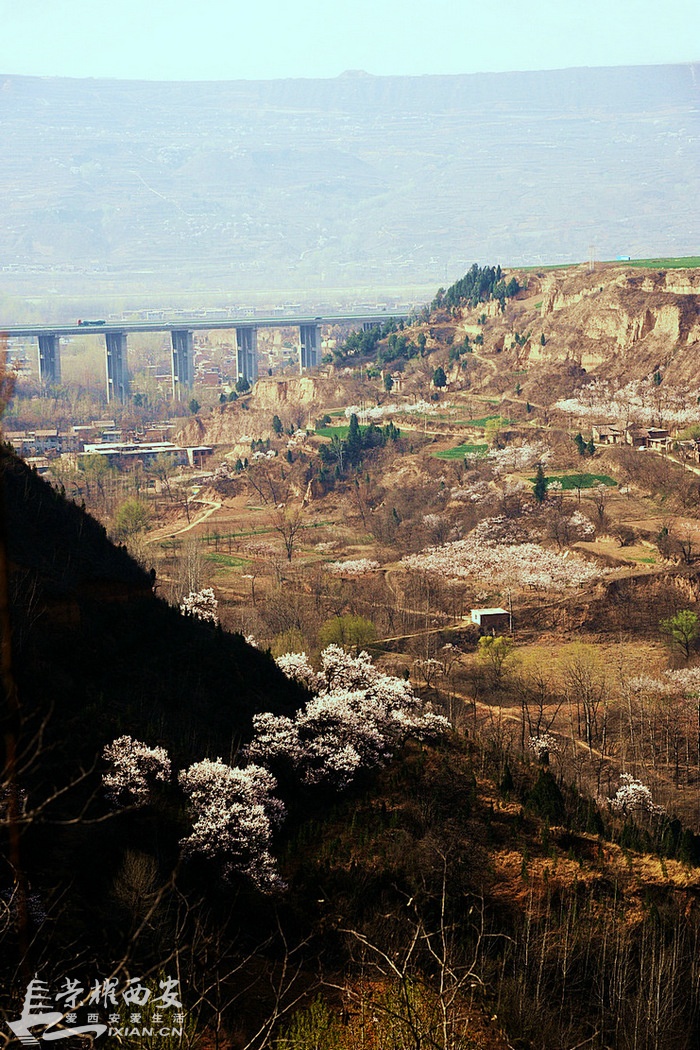 DSC_2698.JPG