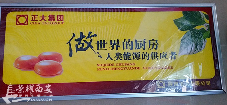 20160327_084715_副本.jpg