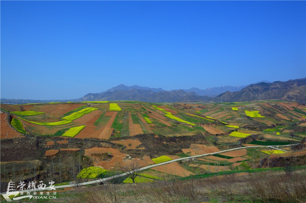 钃濇补8.JPG