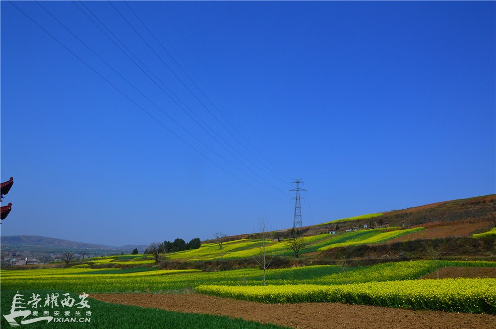 钃濇补5.JPG
