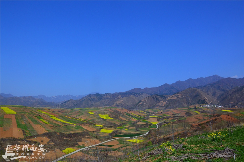 钃濇补7.JPG