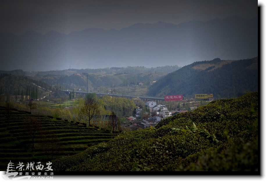 JPG_6241.JPG