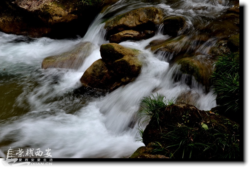 JPG_6381.JPG