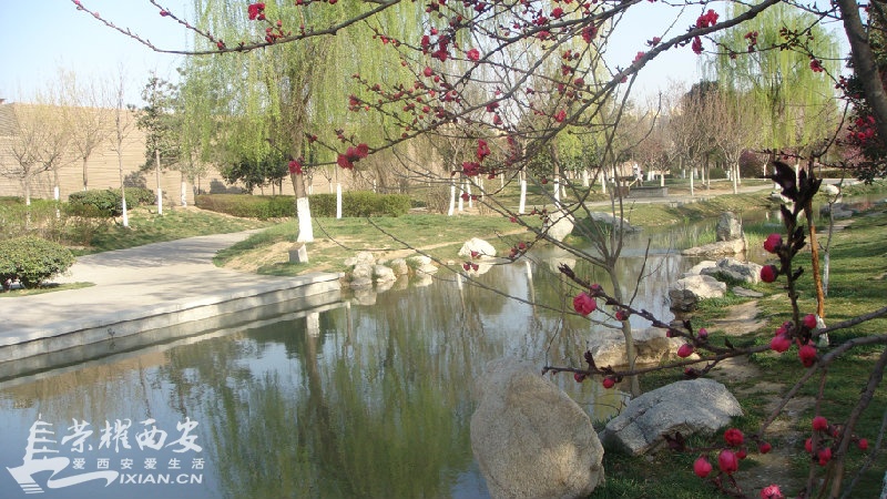 DSC08809.JPG