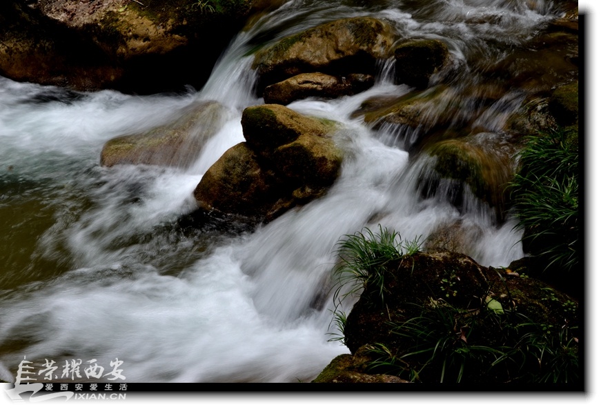 JPG_6381.JPG