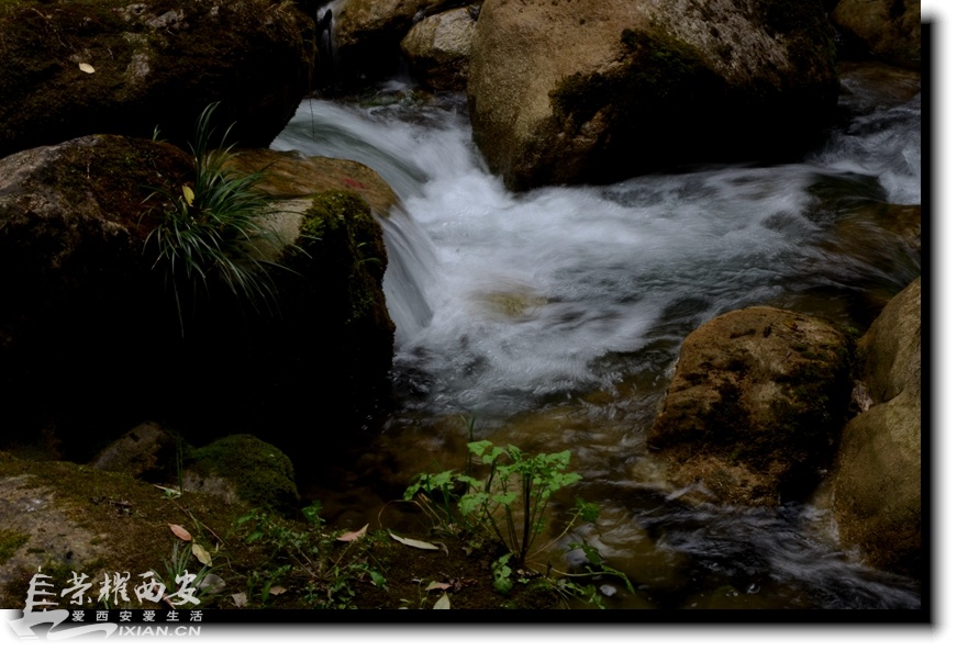 JPG_6382.JPG