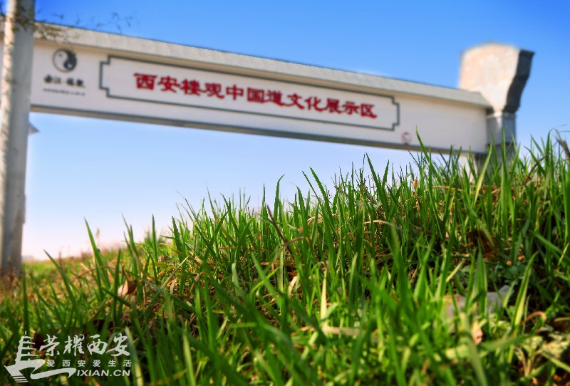 IMG_6584鍓?湰.jpg