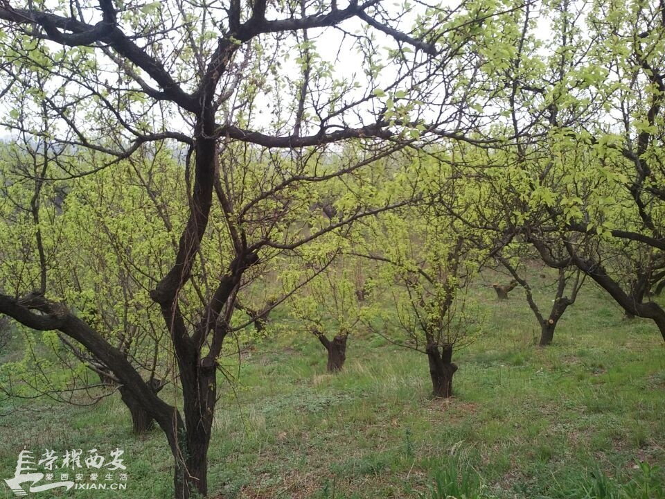 QQ鍥剧墖20160408155608.jpg