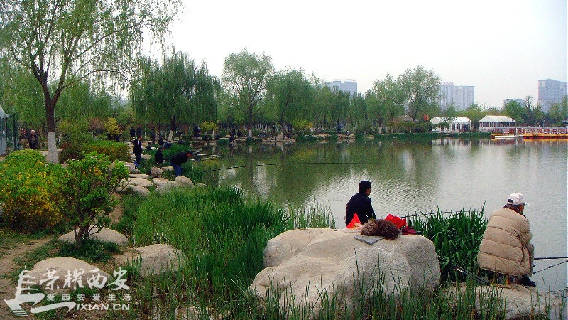 DSC09893_meitu_35.jpg