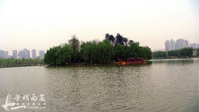 DSC09899_meitu_41.jpg
