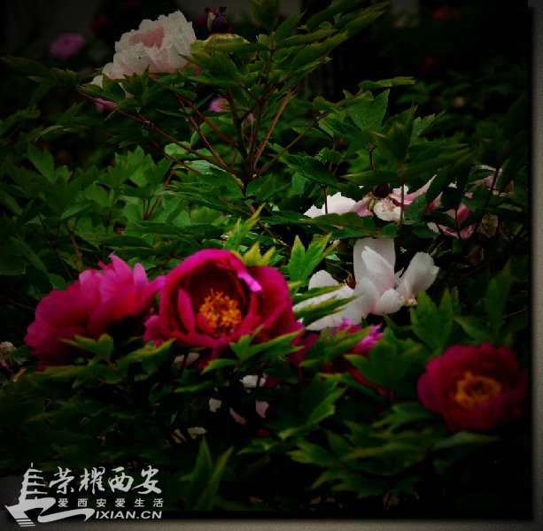 JPG_6840.JPG