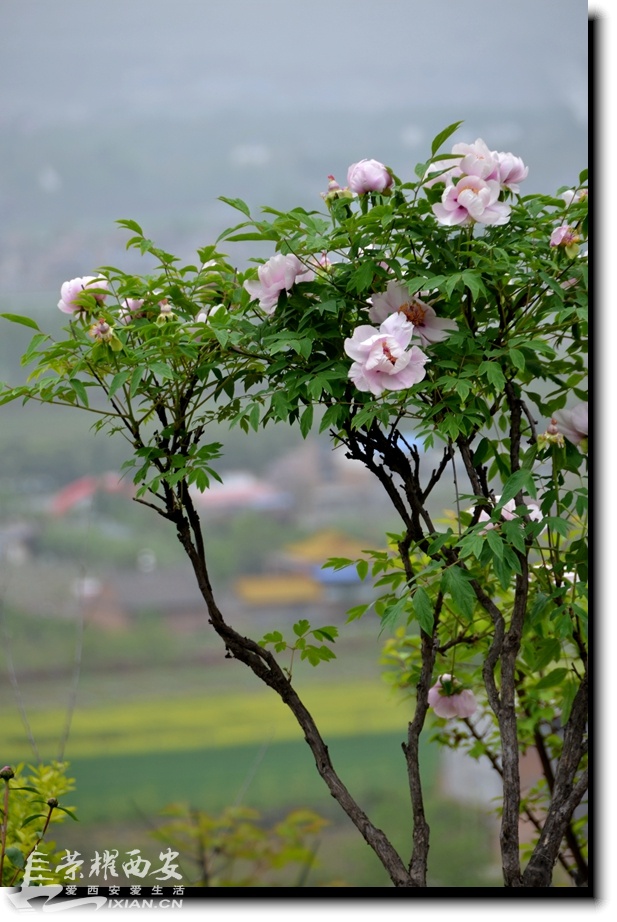 JPG_6898.JPG