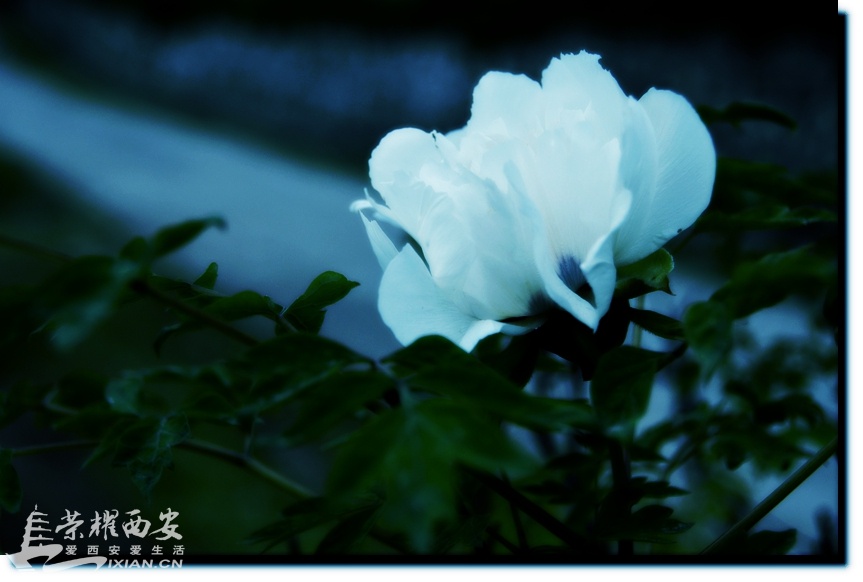 JPG_6908.JPG
