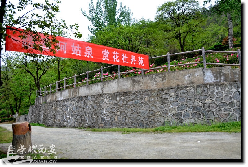 JPG_6924.JPG