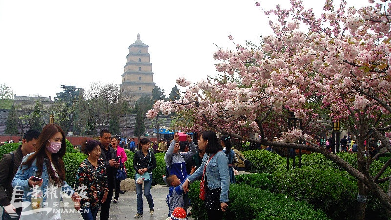 DSC09569_meitu_46.jpg