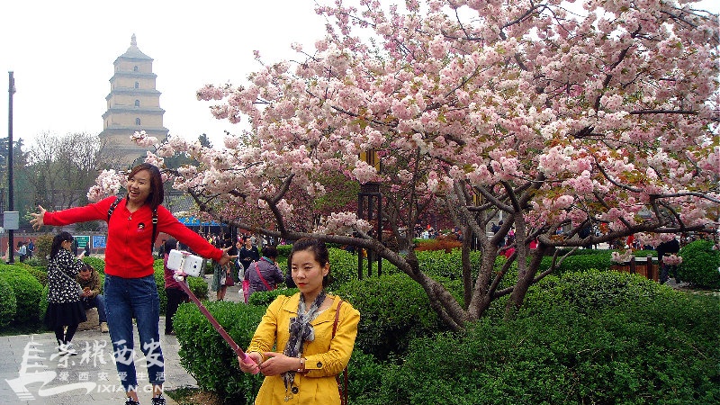 DSC09585_meitu_49.jpg