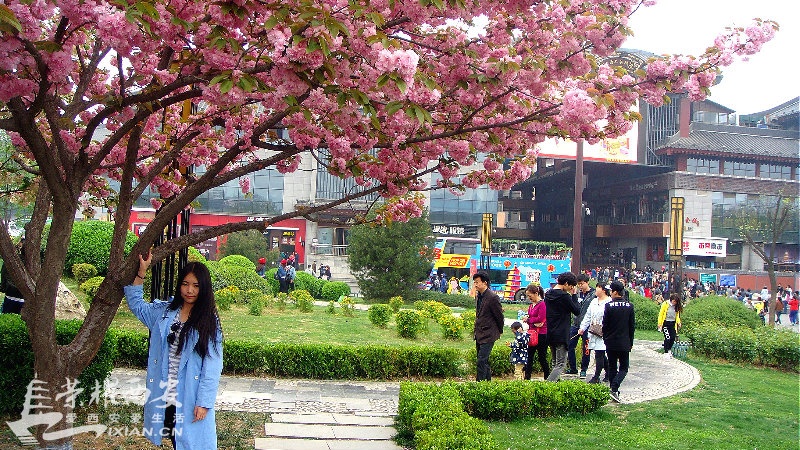DSC09595_meitu_55.jpg