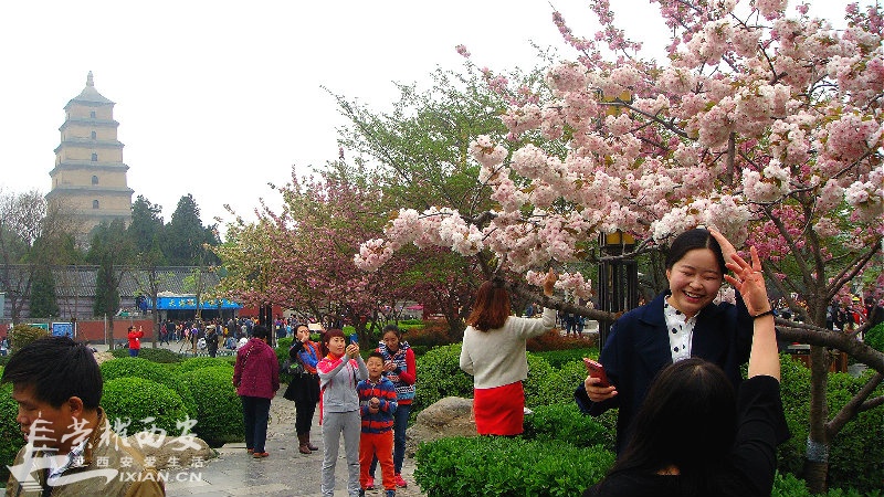 DSC09602_meitu_62.jpg