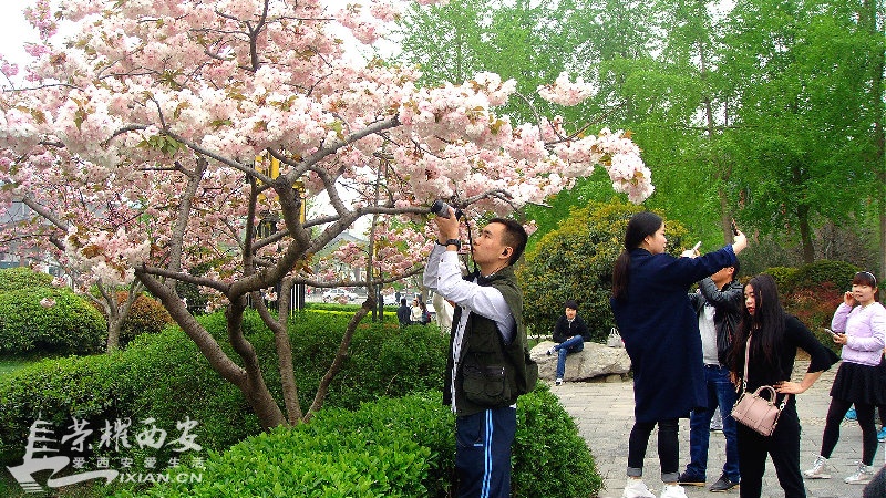 DSC09612_meitu_65.jpg