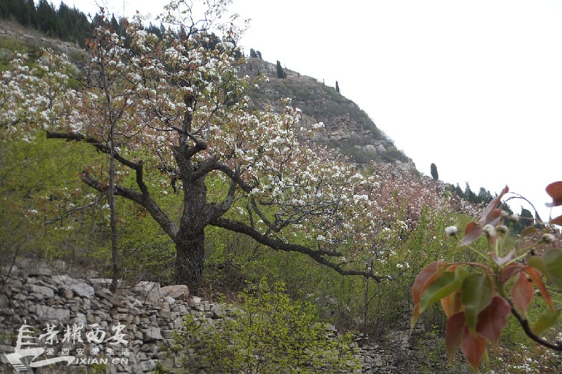 DSCF2058.JPG