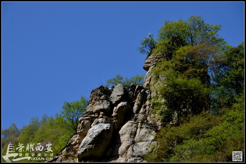 JPG_7558.JPG