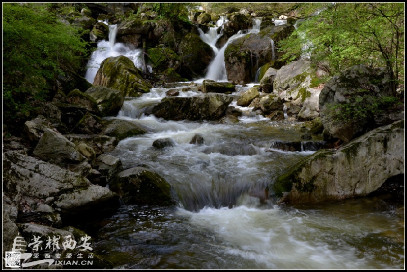 JPG_7405.JPG