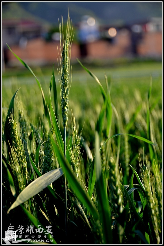 JPG_7582.JPG