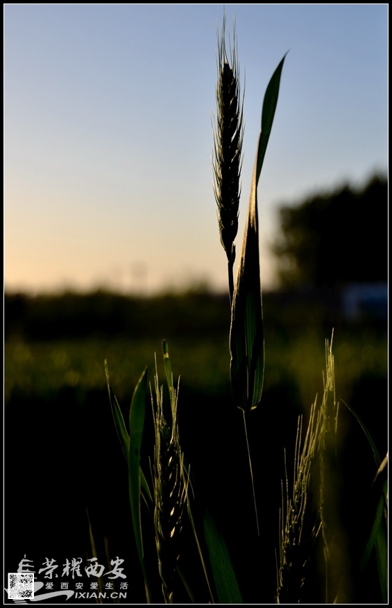 JPG_7588.JPG