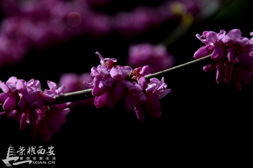 JPG_7360.JPG