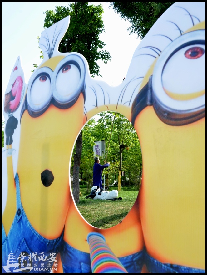 JPG_7916.JPG