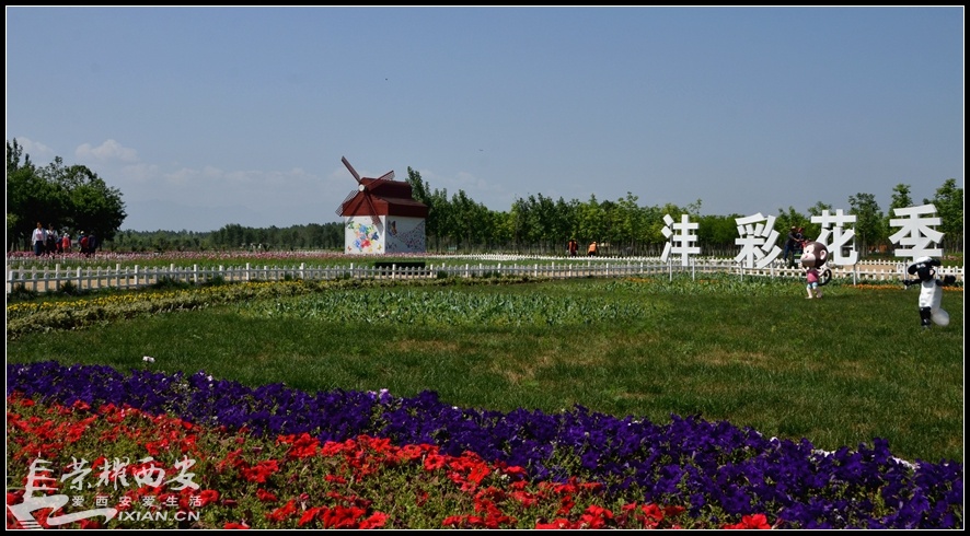 JPG_7991.JPG
