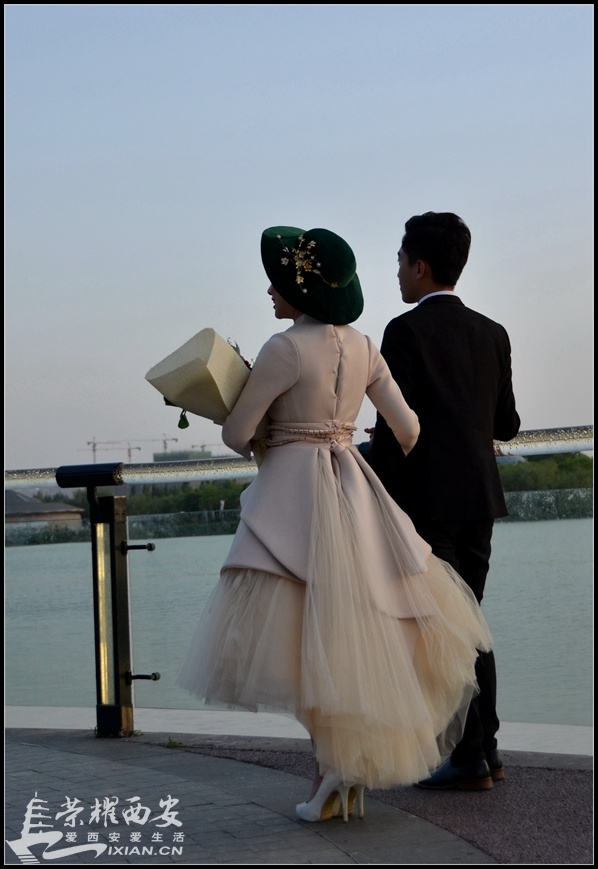 JPG_8864.JPG