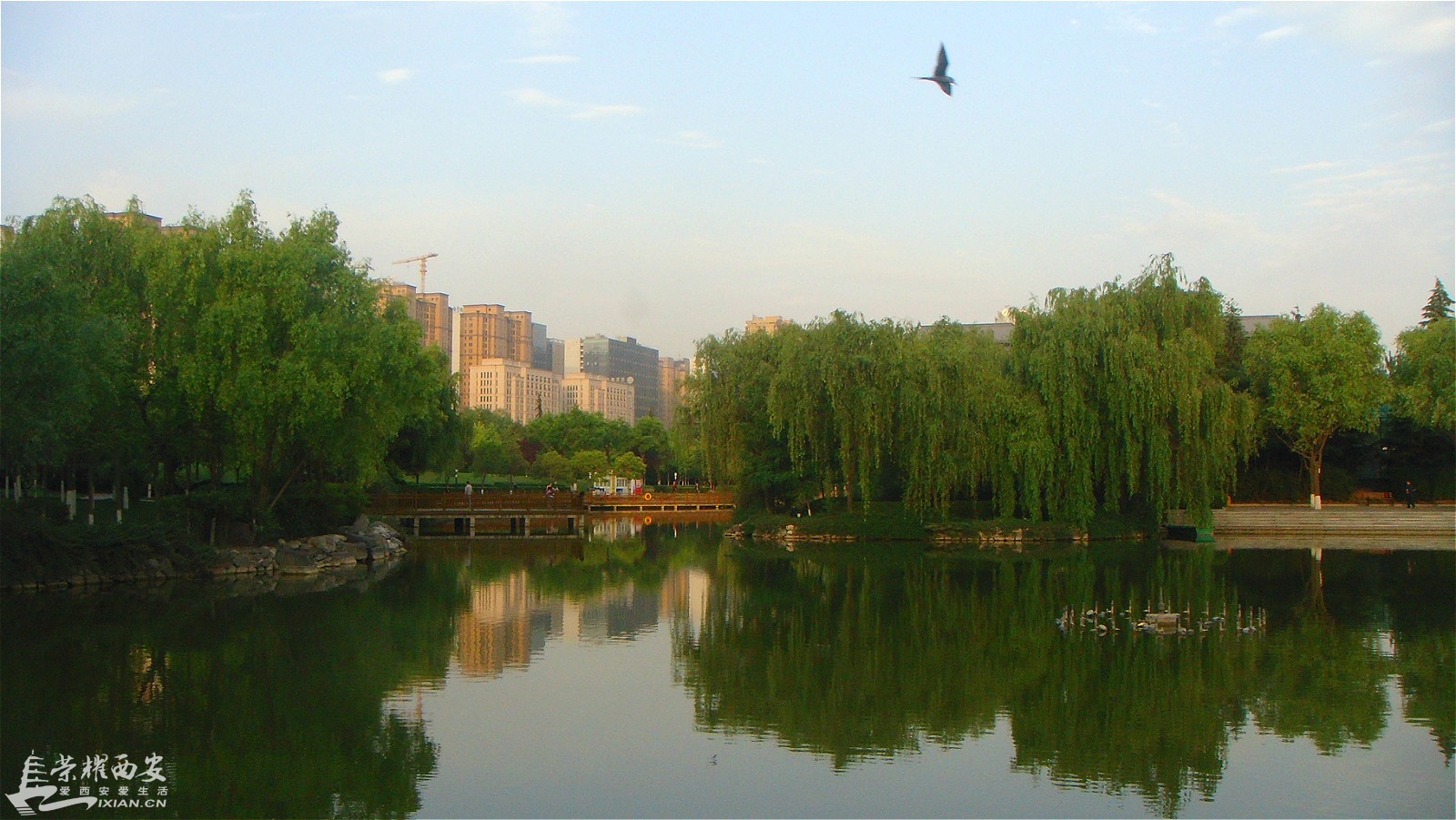 DSC01275_meitu_48.jpg