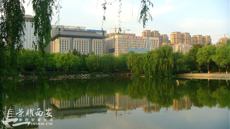 DSC01281_meitu_54.jpg