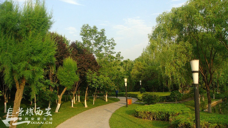 DSC01300_meitu_67.jpg