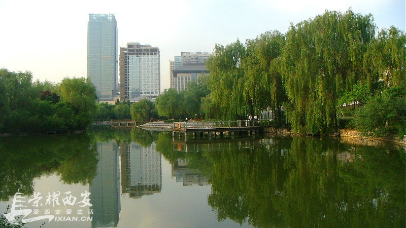 DSC01286_meitu_58.jpg