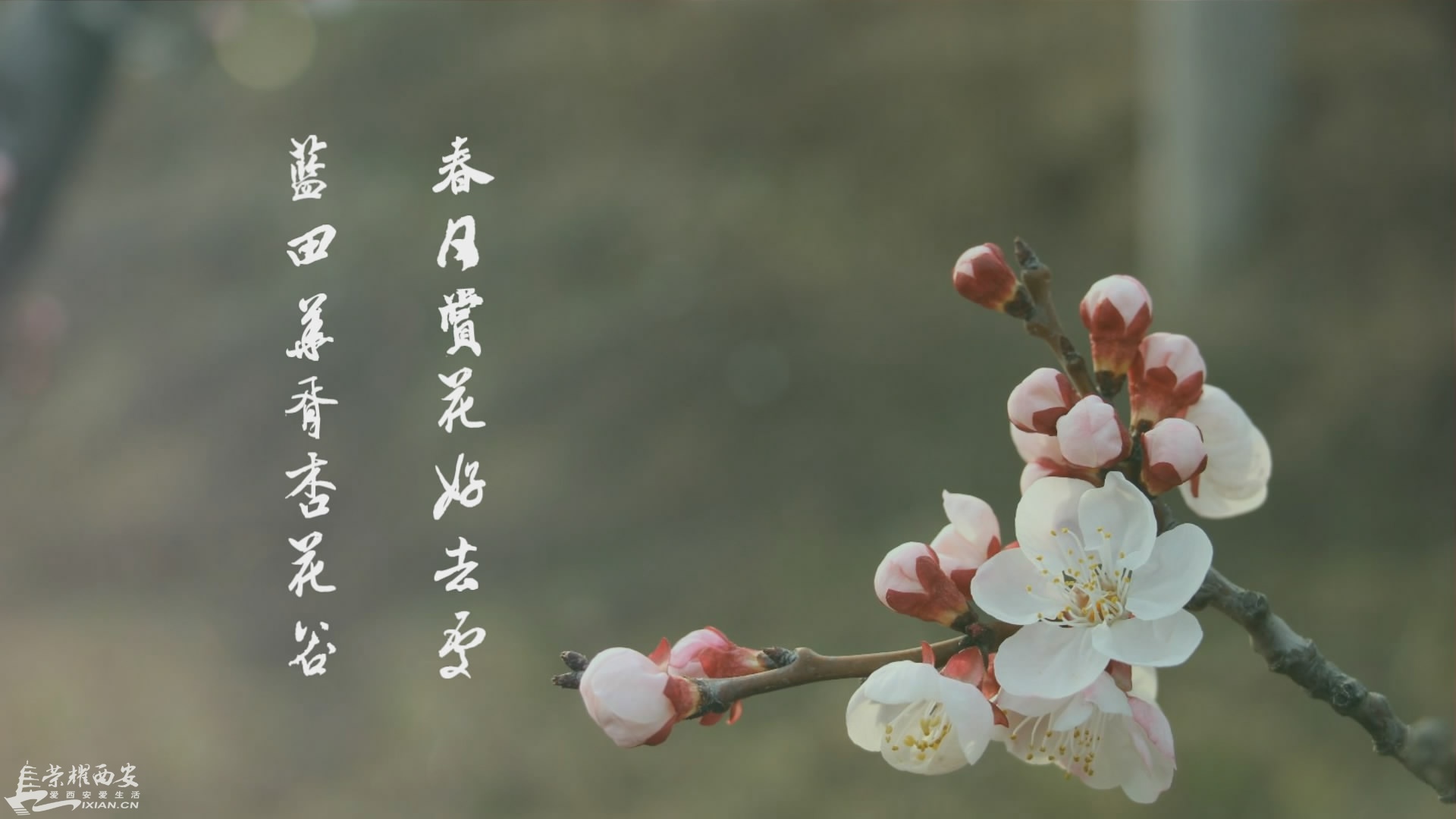 瀹ｄ紶鐗嘯00_00_17][20160514-105140-0].JPG