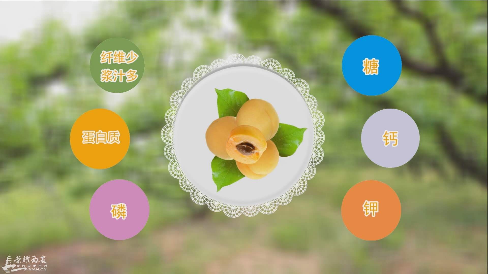 瀹ｄ紶鐗嘯00_01_25][20160514-105620-5].JPG