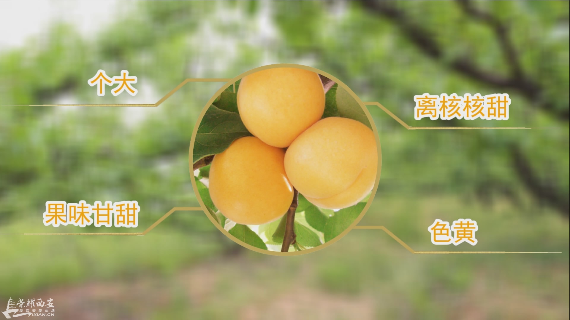 瀹ｄ紶鐗嘯00_01_16][20160514-105603-4].JPG