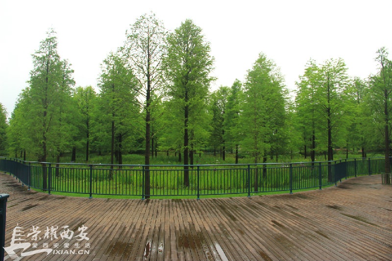 IMG_0079.JPG
