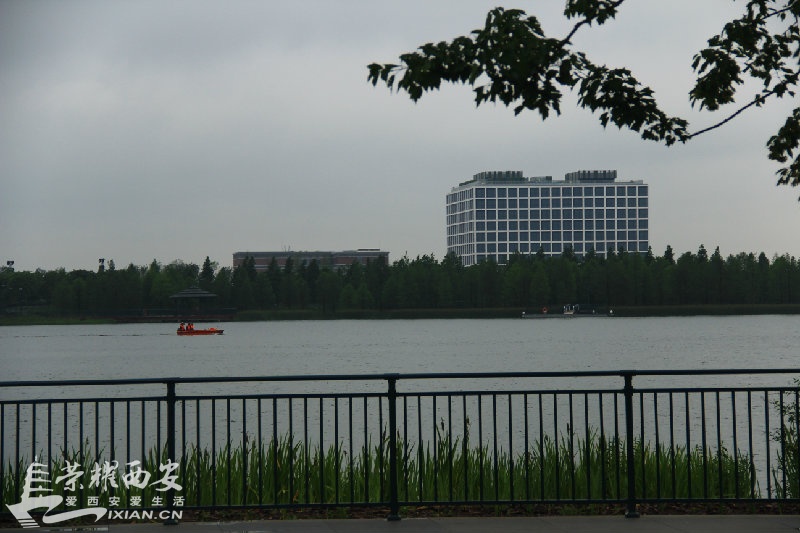 IMG_0123.JPG