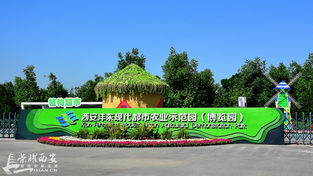 瑗垮畨娌ｄ笢鍐滃崥鍥