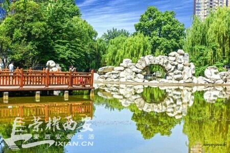 8RW914gw040l.jpg