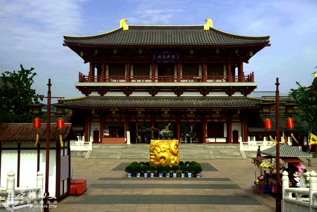 鑽疯姳 (1).JPG