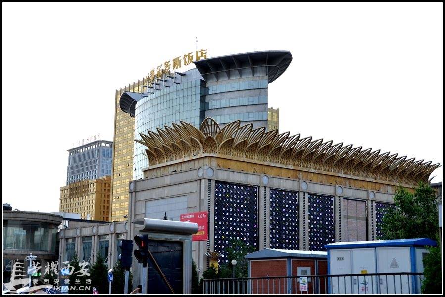 JPG_1890.JPG