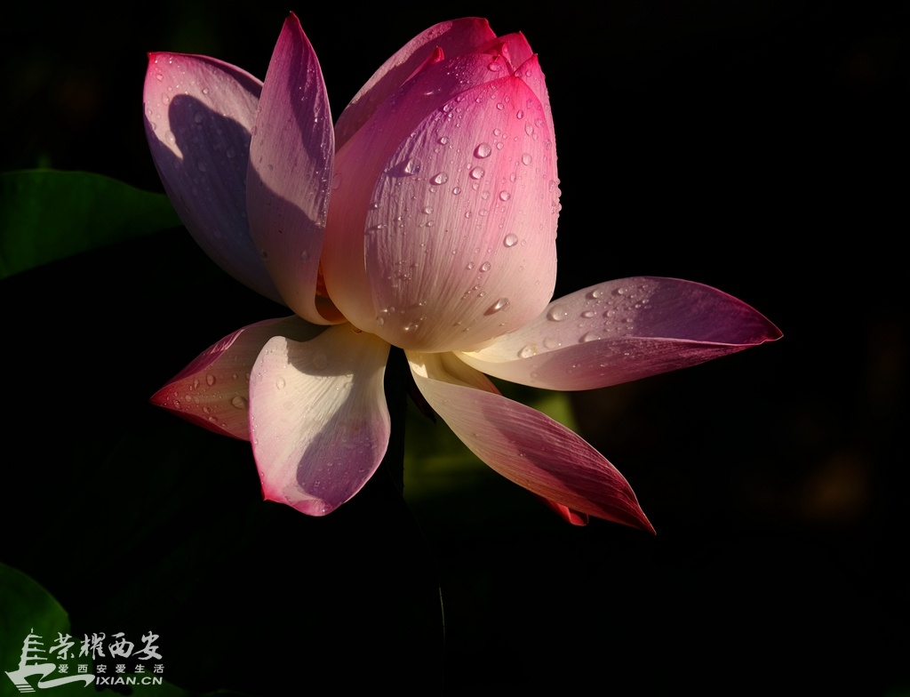 DSCF2062.jpg